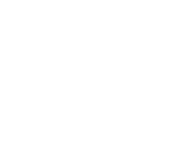 ALMA CONSULTANT